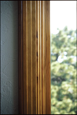 This Trex deck—a composite of recycled plastic and wood fiber—offers stunning views from just outside David Johnston’s home office. The trellis shades the south-facing windows during the summer.
